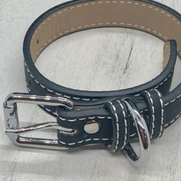Independent Other - Pet Dog Black Leather Collar